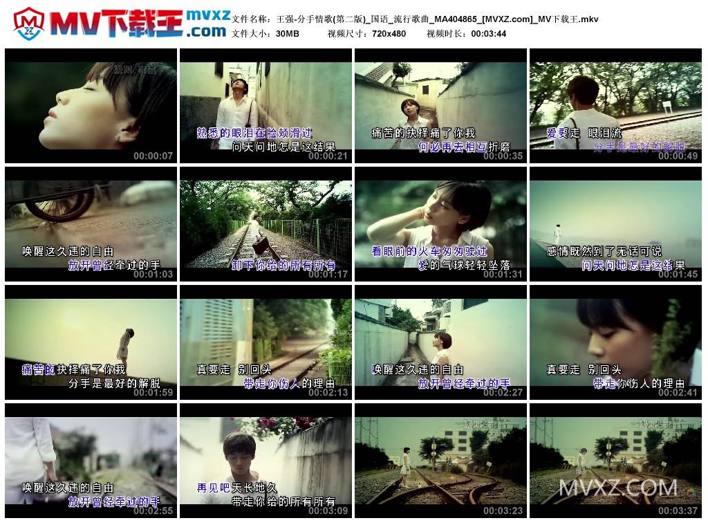 王强-分手情歌(第二版)_国语_流行歌曲_MA404865